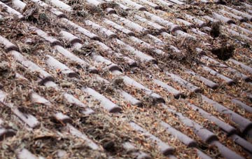 Hodley roof cleaning companies