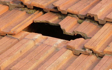 roof repair Hodley, Powys